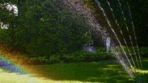 Rasen im Frühling – so wird er schön grün