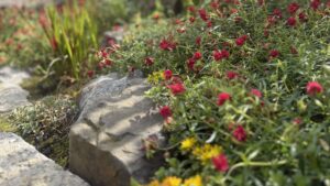 Naturgarten: Welche Vorteile ein naturnah gestalteter Garten bietet