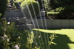 Warum manche Gärten selbst im Hochsommer erstaunlich frisch aussehen